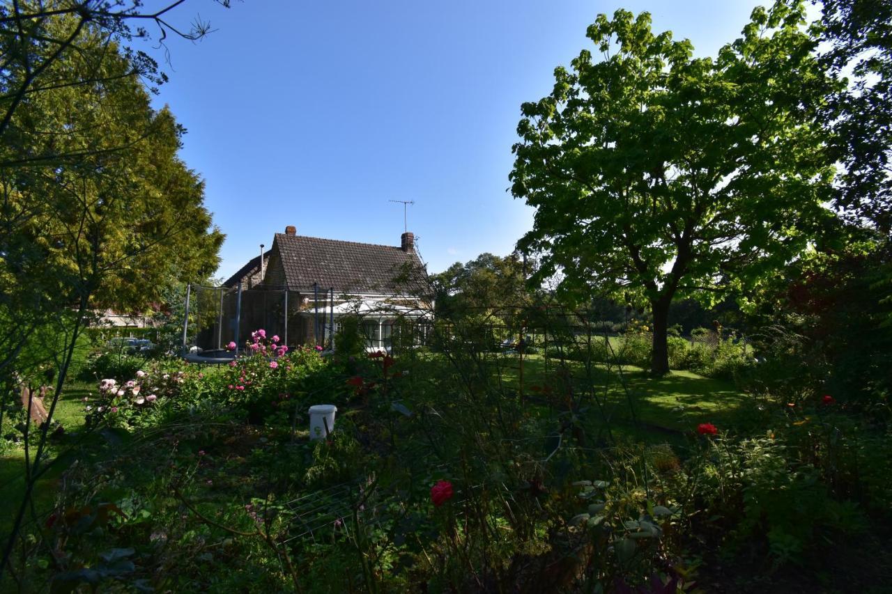 Ma Maison Bleue Saint-Brice-sous-Ranes Buitenkant foto